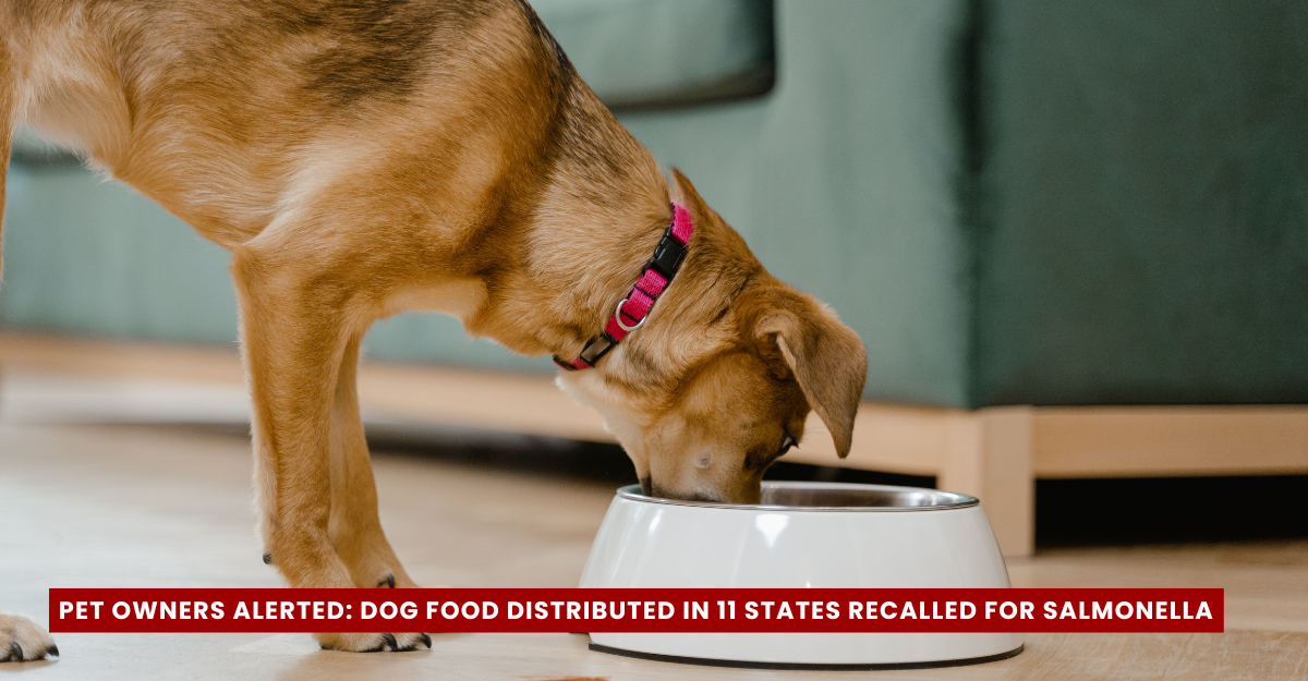 Dog Food Sold in 11 U.S. States Recalled Over Salmonella Contamination